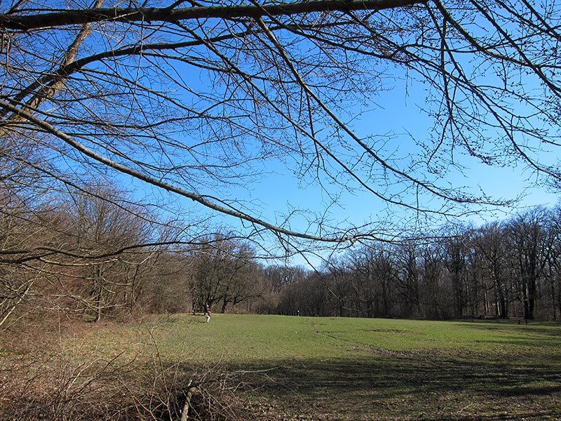 Kahlenberg